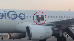 Bomb | Flight | Threat