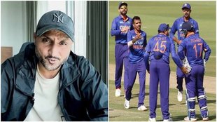 Harbhajan Singh, Team India, Team India Head Coach