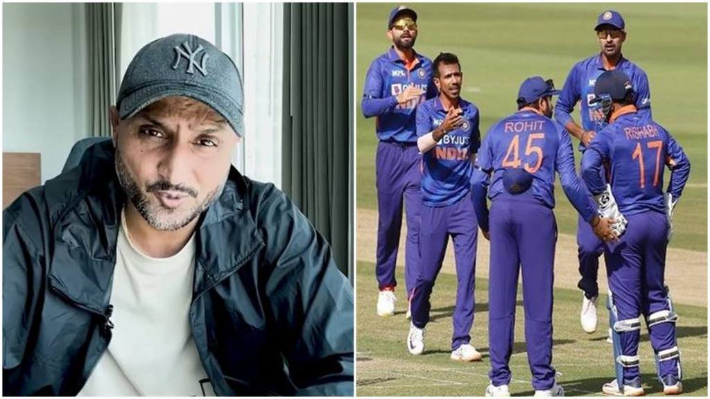 Harbhajan Singh, Team India, Team India Head Coach