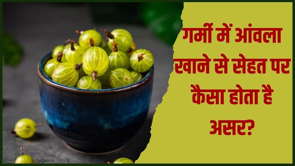 Indian gooseberry । Can we eat amla in summer । Summer health care