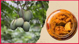 Mango Pickle Recipe । How to make Mango Pickle । Instant Mango Pickle Recipe