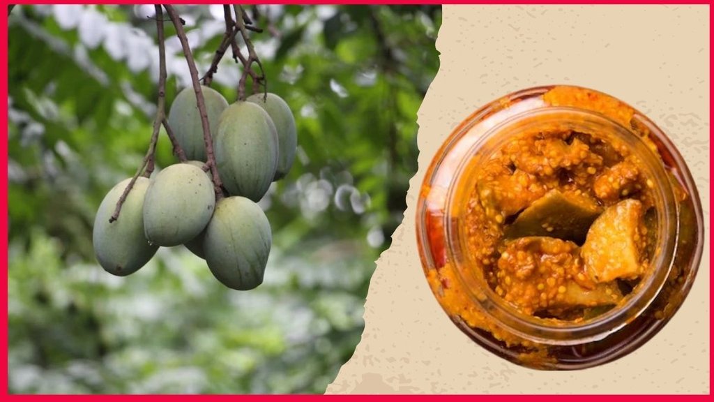 Mango Pickle Recipe । How to make Mango Pickle । Instant Mango Pickle Recipe