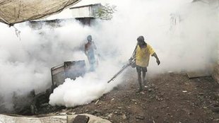 Malarial| foguge| disease