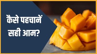 FSSAI Guidelines । Calcium Carbide For Ripening Mangoes । artificial Mango ripening