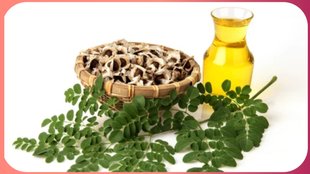 moringa oil for grey hair