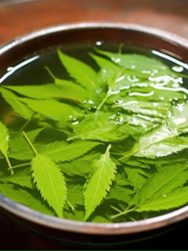 neem benefits for skin