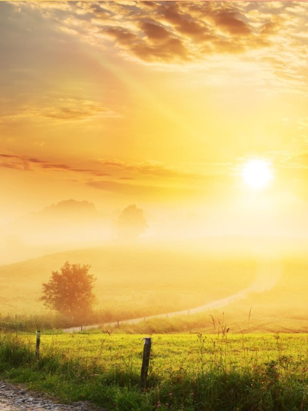 Good Morning Wishes for Saturday