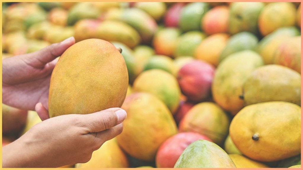 how to choose a mango