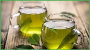 green tea for weight loss
