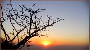 mount abu tourism in hindi