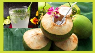 tender coconut water kulukki sarbath recipe