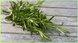 Rosemary leaves for hair fall