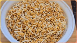 Morning Mantra sprouted methi benefits