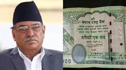 नेपाल की ‘नापाक’ हरकतें! 100 रुपये के नोट में भारत के इलाकों को बता दिया अपना, पहले मिल चुका है मुंहतोड़ जवाब