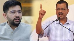 ‘मैं उनसे निपट लूंगा…’, पार्टी से दूरी बनाने पर राघव चड्ढा को लेकर बोले सीएम केजरीवाल