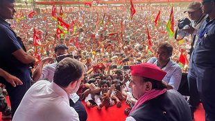 Akhilesh Yadav | rahul Gandhi | BJP