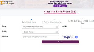 RBSE 5th 8th Result 2024, RBSE 5th 8th Passing Marks