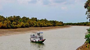 Sundarban Delta| pollution