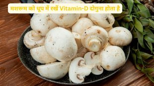 vitamin D,mushroom nutrition,mushroom and vitamin D,mushroom and sunlight,mushroom,Mushrooms, Vitamin D, Lyndi Cohen, Dietician, Shubha Ramesh L, Ergosterol, Sunlight, UV Light, Vitamin D2, Vitamin D3, Maitake, Portobello, Sun Exposure, Bioavailability, Supplements, Fortified Foods