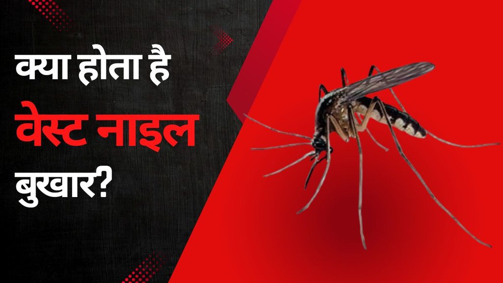 West Nile Fever