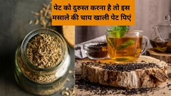 अगर आप गर्मी में रोज़ाना खाली पेट अजवाइन की चाय का सेवन करें तो बॉडी पर कैसा दिखेगा असर? एक्सपर्ट से जानिए