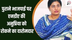 UP Lok Sabha Election 2024: कभी फूलन देवी की हुआ करती थी यह सीट, अब अनुप्र‍िया पटेल लगाना चाहती हैं हैट्र‍िक