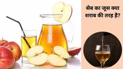 सेब के जूस के रूप में कहीं शराब तो नहीं पी रहे आप? रिफ्रेशिंग ड्रिंक भी हो सकता है ज़हर! एक्सपर्ट ने बताई चौंकाने वाली बात
