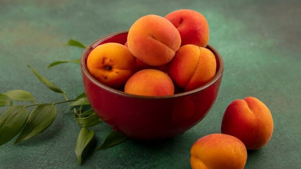 apricot health benefits,health benefits of dried apricots,benefits of apricot,health benefits of apricot,health benefits of apricots,apricot benefits