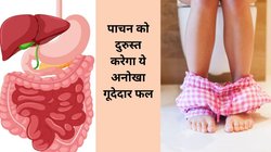 गर्मी में गैस, एसिडिटी और अपच का रामबाण इलाज है खोल में छुपा ये फल, बॉडी की थकान और कमजोरी को कर देता है दूर, आचार्य बालकृष्ण ने बताएं फायदे