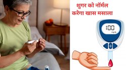 खून से अतिरिक्त चीनी को सोख लेता है ये मसाला, Blood Sugar कंट्रोल करने का रामबाण है इलाज, जानिए कब और किस तरह करें सेवन