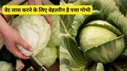 हफ्ते में 1 बार पत्तागोभी खाने से सेहत पर कैसा पड़ता है असर? गट हेल्थ से लेकर वेट में कैसे होता है बदलाव, एक्सपर्ट से जानिए