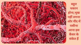 Chronic myelogenous leukemia , CML symptoms , cml prevention , cml treatment , cancer symptoms , cml in 30 to 40 , cml cause , cancer cause , cml type of cancer,CML कैंसर कब होता,