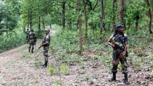 chhattisgarh encounter | bijapur encounter | seven naxalites killed