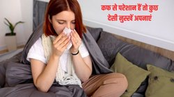 गर्मी में भी छाती बलगम से जकड़ गई है, हर वक्त मुंह से निकलता है म्यूकस, आचार्य बालकृष्ण से जानिए उपाय तुरंत मिलेगी राहत