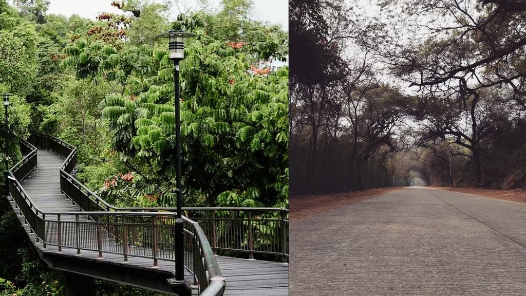 Travel । Beautiful Places in Delhi । Delhi travel