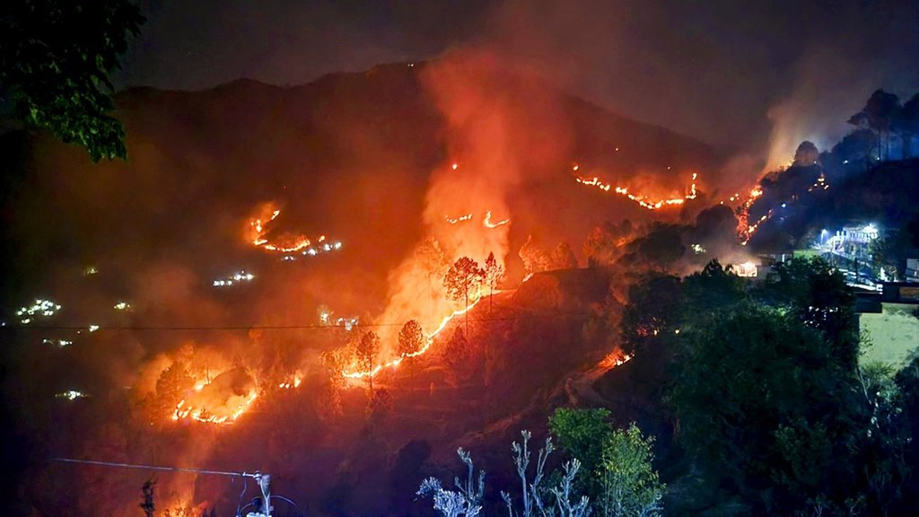 fire |Uttrakhand| forest