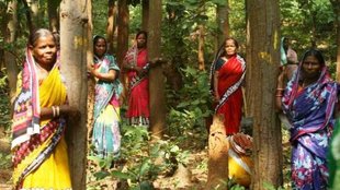 forest| save| Women