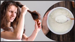 Hair Care । Curd on Hairs । Beauty Tips