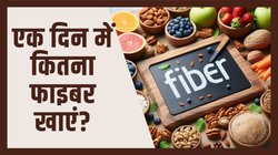 एक दिन में कितना फाइबर खाना चाहिए? इससे ज्यादा खा लिया तो भुगतने पड़ सकते हैं गंभीर नुकसान