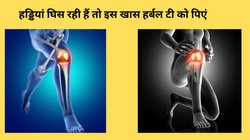 इस खास पाउडर को 1 चम्मच पानी में मिलाकर पी लीजिए, जोड़ों के दर्द और सूजन से मिल जाएगा छुटकारा, घुटने में भर जाएगी ग्रीस