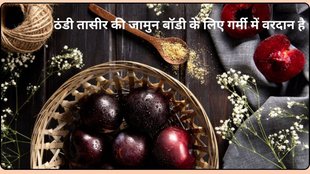 java plum benefits , Black plum benefits for diabetes control, Black plum benefits for health, java plum benefits in hindi , java plum benefits for male , Blackberry health benefit for female , java plum benefits for brain jamun fruit benefits ,
