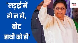 यूपी लोकसभा चुनाव: कमजोर पड़ कर भी यहां मजबूत है बसपा, जान‍िए भाजपा, कांग्रेस, सपा से क्‍यों खफा हैं जाटव