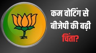 2024 ELECTION, BJP, VOTING
