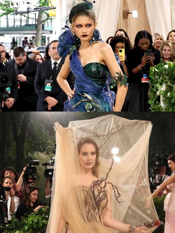 Met Gala । Met Gala 2024 । Met Gala looks