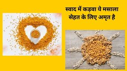 मेथी दाना का सेवन अगर 14 दिनों तक किया जाए तो बॉडी पर कैसा दिखता है असर, एक्सपर्ट से जानिए बॉडी में होने वाले बदलाव