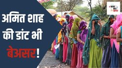 Election 2024: मध्य प्रदेश में कम मतदान बना बीजेपी के लिए चिंता का कारण, क्या भाजपा के गढ़ में सेंध लगा पाएगी कांग्रेस?
