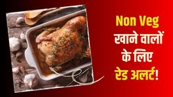 नॉन वेज खाना कितना सुरक्षित? चिकन शावरमा खाने से मौत के बाद उठे सवाल, क्या कहती हैं रिपोर्ट
