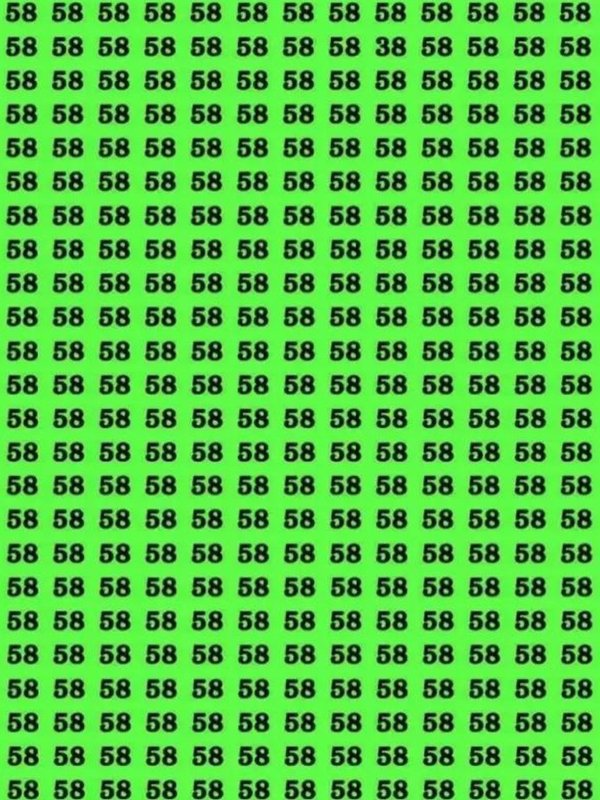 optical illusions game