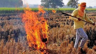 parali burning