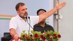 राहुल गांधी के पसंदीदा चेस खिलाड़ी ने कसा उन्हीं पर तंज? वर्ल्ड चैंपियन खिलाड़ी का ट्वीट हुआ वायरल